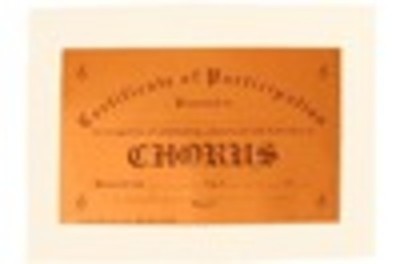 AWARD CERTIFICATE PARTICIPATION BAND COPPER FO